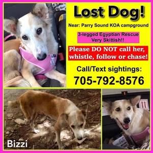 Meet your Posher, Agnes